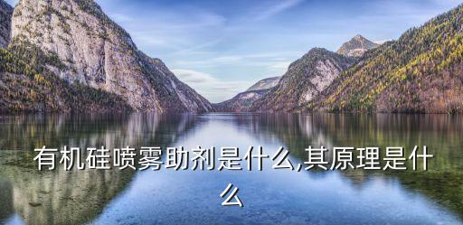 什么事有機硅類農藥,什么農藥不能加有機硅