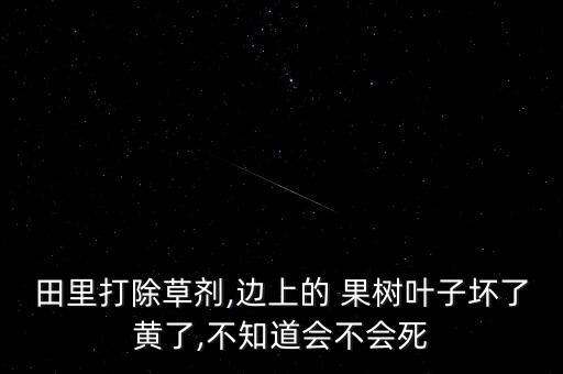 什么農藥可致果樹死亡,果樹打什么農藥,啥時候打