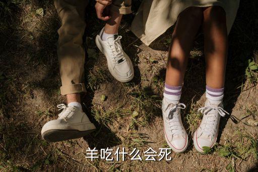 什么農藥可以害羊,羊吃了什么農藥會中毒