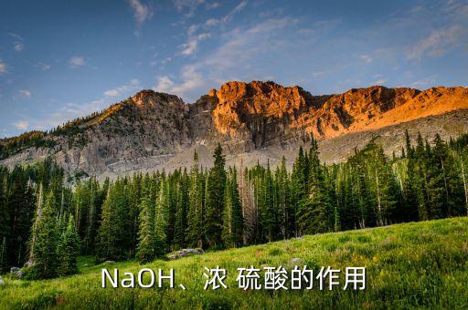 硫酸氨可用于什么農藥