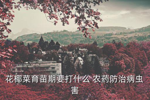 花椰菜育苗期要打什么 農藥防治病蟲害