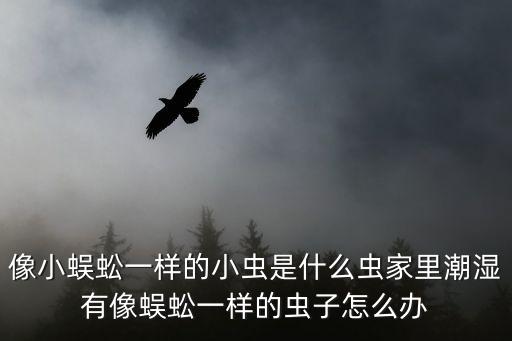 車前草用什么農藥殺蟲,蔬菜打什么農藥殺蟲