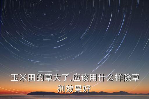  玉米田的草大了,應該用什么樣除草劑效果好