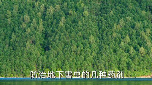 農藥殺蟲屬于什么防治,白菜殺蟲用什么農藥