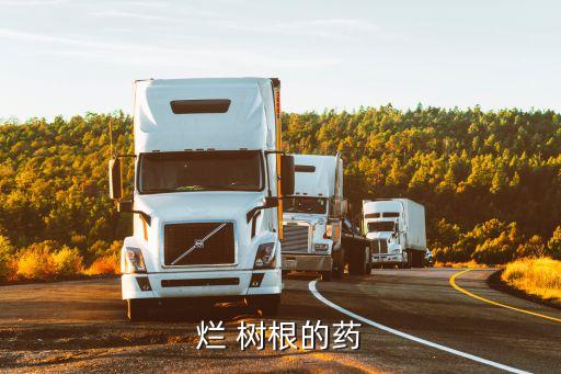爛 樹根的藥