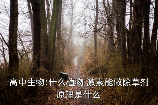 高中生物:什么植物 激素能做除草劑原理是什么
