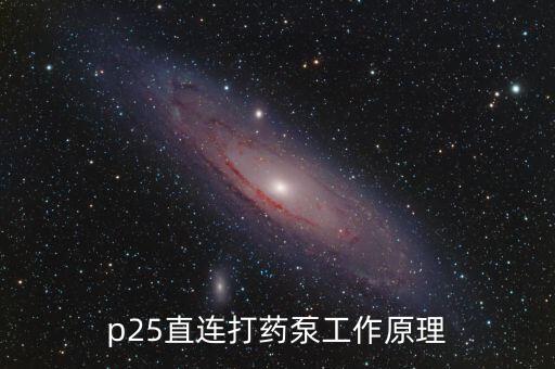 p25直連打藥泵工作原理