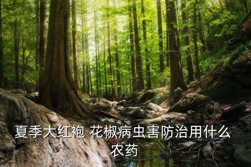 花椒落果子打什么農藥,像花椒的果子叫什么