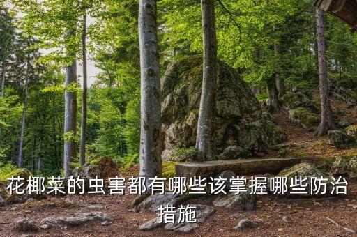 花椰菜的蟲害都有哪些該掌握哪些防治措施
