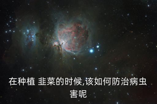 在種植 韭菜的時候,該如何防治病蟲害呢