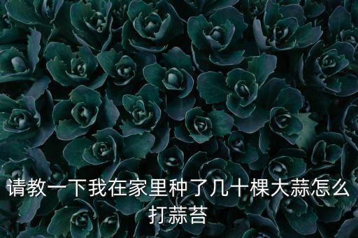 請(qǐng)教一下我在家里種了幾十棵大蒜怎么打蒜苔