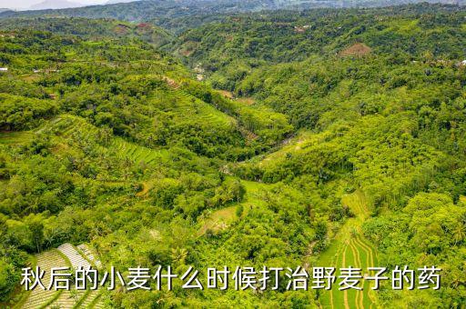秋天什么時候打農藥好呢,秋天雞什么時候打鳴