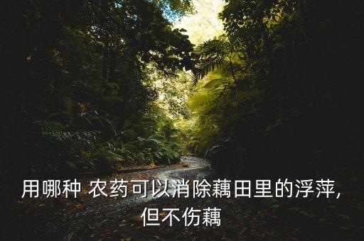 用哪種 農藥可以消除藕田里的浮萍,但不傷藕