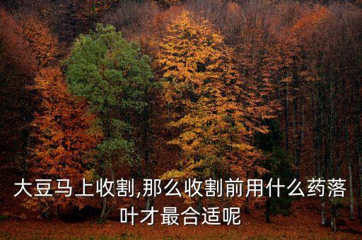 黃豆葉子發(fā)黃用什么農(nóng)藥,黃豆苗葉子發(fā)黃是怎么回事