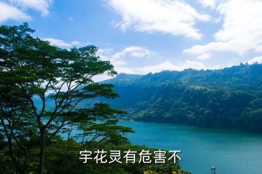 什么農藥能控梢促花,馬鈴薯控旺用什么農藥
