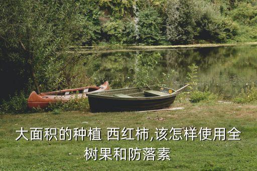 大面積的種植 西紅柿,該怎樣使用全樹果和防落素