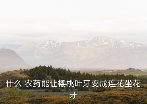 什么 農藥能讓櫻桃葉牙變成連花坐花牙