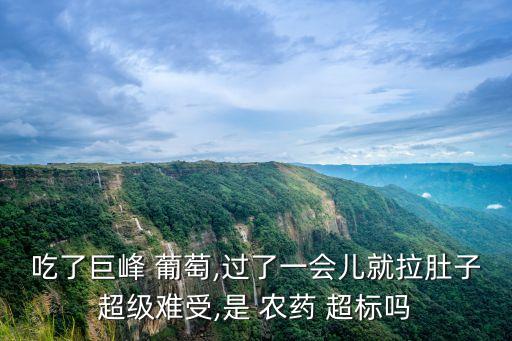 吃了巨峰 葡萄,過了一會(huì)兒就拉肚子超級(jí)難受,是 農(nóng)藥 超標(biāo)嗎