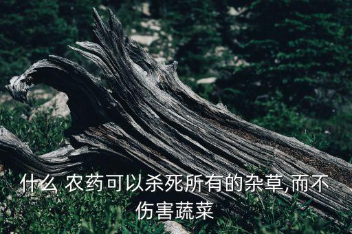 什么農(nóng)藥適合用煙霧機(jī),酒店適合種什么農(nóng)藥