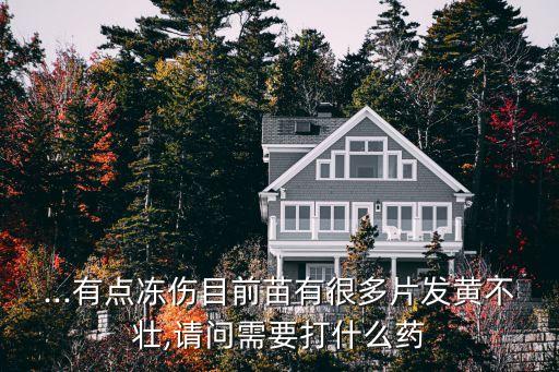刮風天打什么農藥好,刮風能打農藥嗎