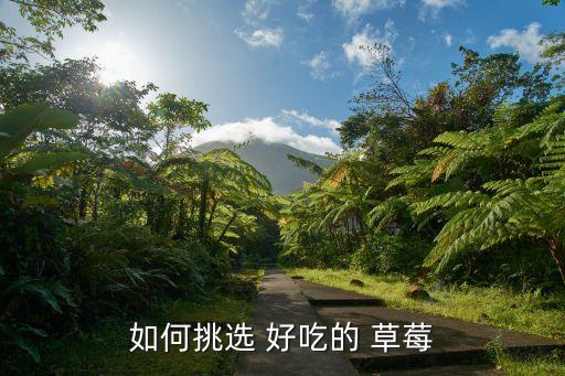 草莓農(nóng)藥什么味道好吃不辣,什么味道的草莓好吃
