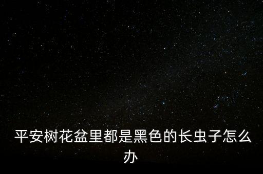  平安樹花盆里都是黑色的長蟲子怎么辦