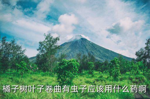 橘子樹葉子卷曲有蟲子應該用什么藥啊
