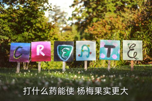 小苗楊梅打什么農藥好呢,楊梅清園用什么農藥