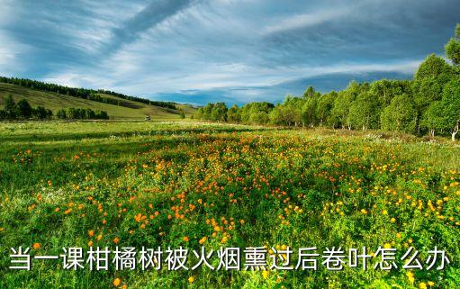 柑桔卷葉用什么農藥,柑桔什么時侯噴農藥好