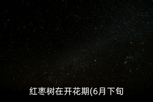 紅棗樹在開花期(6月下旬