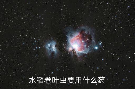 水稻卷葉蟲要用什么藥