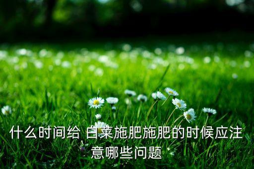 什么時間給 白菜施肥施肥的時候應(yīng)注意哪些問題
