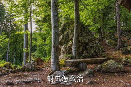 蚜蟲怎么治