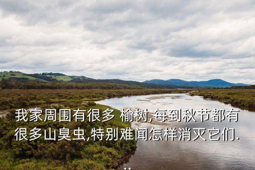 我家周圍有很多 榆樹,每到秋節都有很多山臭蟲,特別難聞怎樣消滅它們...