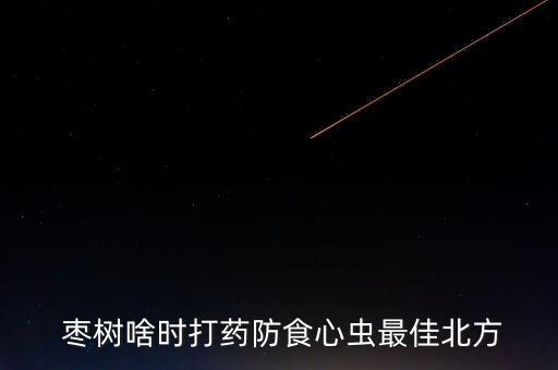  棗樹啥時打藥防食心蟲最佳北方
