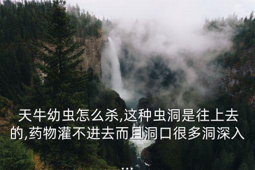  天牛幼蟲怎么殺,這種蟲洞是往上去的,藥物灌不進去而且洞口很多洞深入...