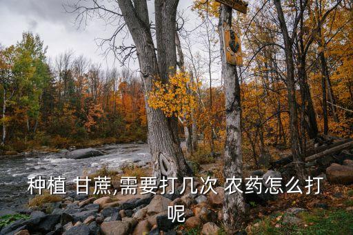 甘蔗打什么農(nóng)藥長得快,甘蔗殺菌用什么農(nóng)藥好呢