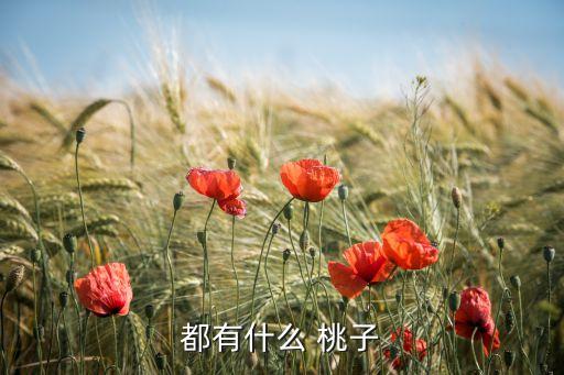 都有什么 桃子