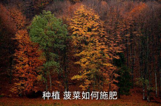 菠菜最敏感什么農藥,種菠菜需要打什么農藥