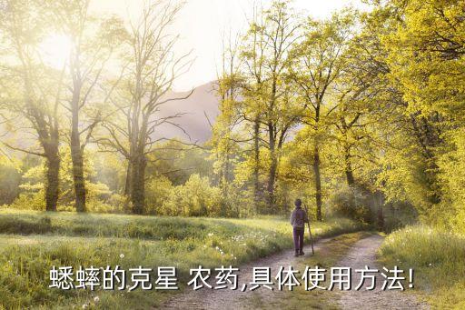 有什么農藥可以殺蟀,菜蟲用什么農藥殺比較好?