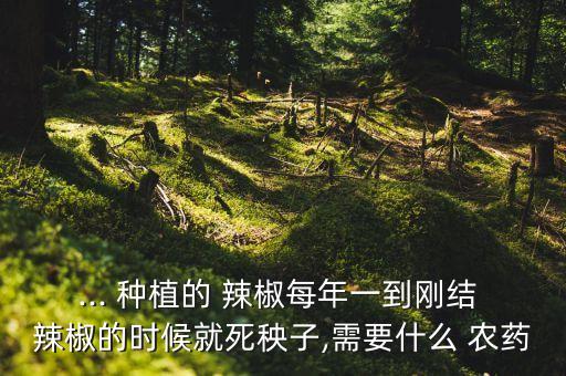 種植辣椒用什么農藥,辣椒種植可行性報告