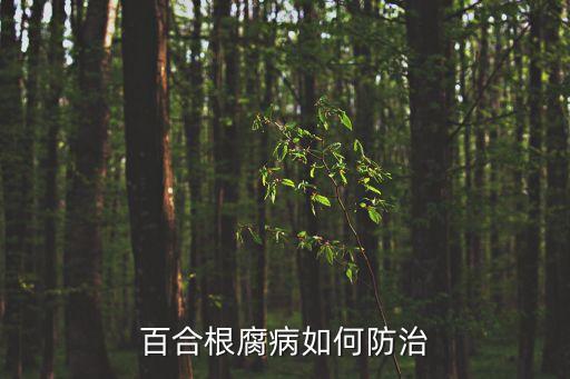 用什么農(nóng)藥拌種防根腐,什么農(nóng)藥拌種最好