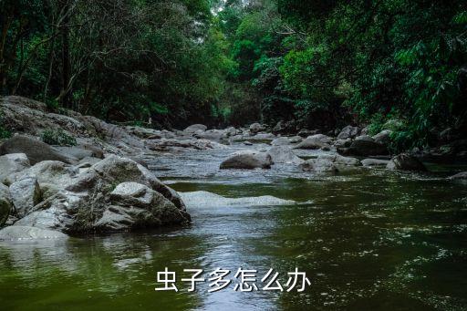 蟲子多怎么辦