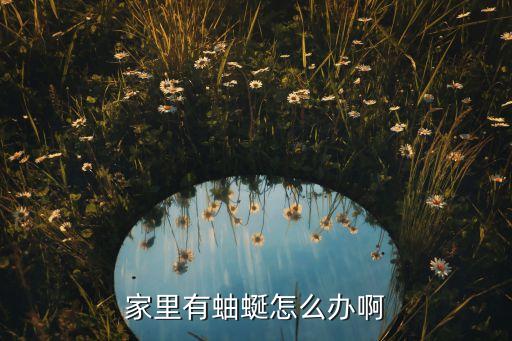 家里有蚰蜒怎么辦啊