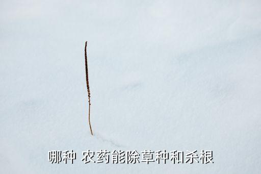 哪種 農藥能除草種和殺根