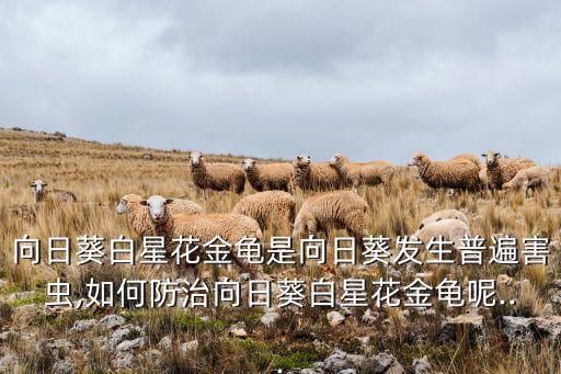 金色甲蟲用什么農(nóng)藥,打跳甲蟲什么農(nóng)藥好