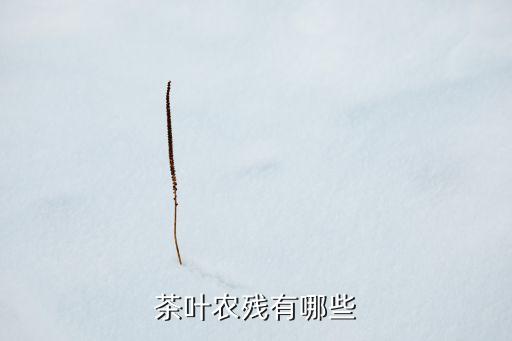 茶葉農殘有哪些