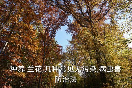 蘭花病用什么農藥,蘭花參什么病不能吃