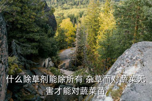 什么除草劑能除所有 雜草而對蔬菜無害才能對蔬菜苗