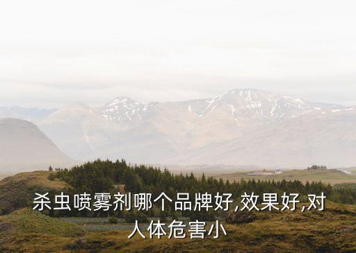  殺蟲噴霧劑哪個品牌好,效果好,對人體危害小